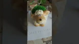 sch&auml;fer hat frei und m&ouml;chte Zuwachs in der whats app gruppe