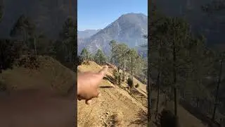 Jaidev Bhumi Uttrakhand Patti Nel chami