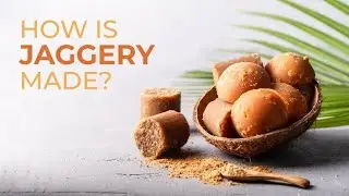 How Jaggery is Manufactured #trendingvideo #trendingshorts #DIYvideos #funny videos #howitismade 