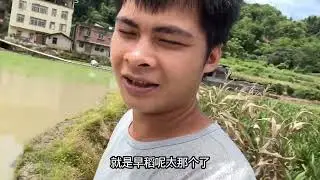 种田到底有没有赚？农药化肥都涨了，唯独粮食没有涨 #我的乡村生活 #vlog十亿流量扶持计划 #记录生活 #原创视频 #插秧季节