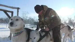 Николай Левковский: традиционные нарты своими руками