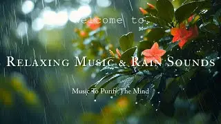 Magical Rain & Piano Music for Ultimate Relaxation | Nature Sounds for Stress Relief | 10 Hours