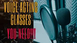 Lesson 2-The Importance of Taking In-Person/Online VA/VO Classes