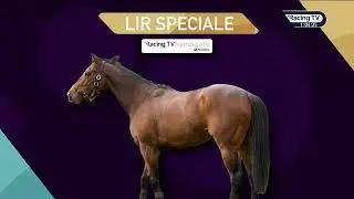 LIR SPECIALE getting closer to his debut for Racing TV members! (Update - 20/04/24)