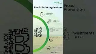 Blockchain in Agriculture