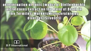 Determination of Toxic Impact of Dieffenbachia picta Leaves Extract on the Ratio of Death in the