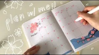 plan with me - june 2020 bullet journal monthly setup !!
