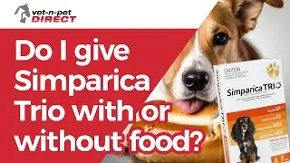 Do I give Simparica Trio with or without food?