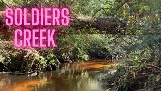 Exploring Soldiers Creek in Longwood, Florida