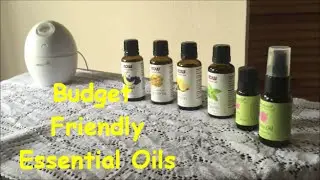 Budget  Friendly  Essential Oils