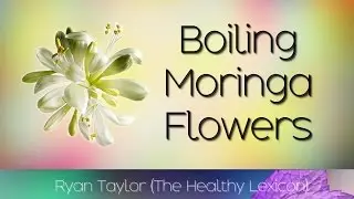 Boiling Moringa Flowers: Benefits