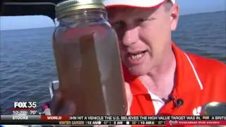 Lake Apopka Restoration Fox35 News