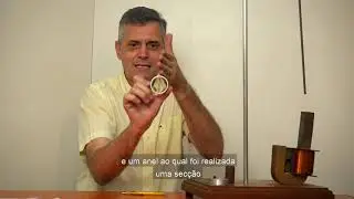 Anel Saltante
