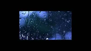Calming Rain Sounds For The Best Sleeping Experience 