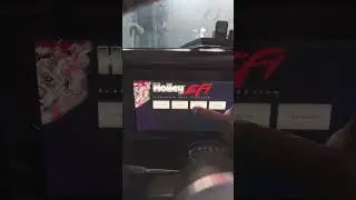 Holley pro dash dummy light setup (turn signals, hi-beam, etc)