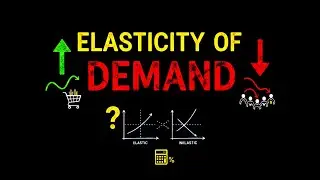Understanding Elasticity of Demand