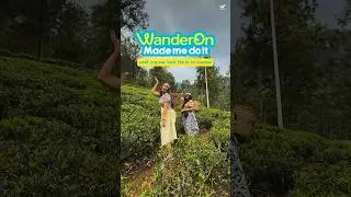 Explored Sri Lanka&rsquo;s tea gardens & plucked some happiness!💙 |#wanderon #whatsupwanderon #srilanka