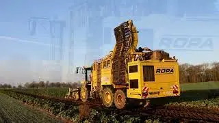 Ropa Tiger V8-4,  Fendt Gespann, Mercedes LKW