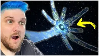 NOVO 