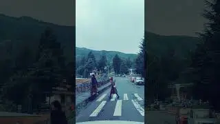 Zebra Crossing in Bhutan