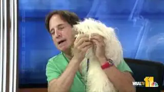 Sept. 1: Pet Questions Answered