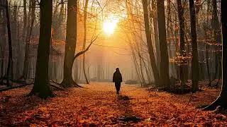 Into the Calm: Deep Chill for Mindful Relaxation