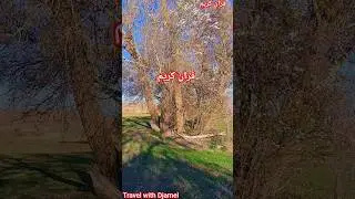 #الطبيعة_في_الجزائر #quran #حوس_بلادك #تصميمي #nature #naturelovers #قران_كريم #ارح_سمعك_بالقران