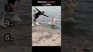 Ranking funniest dog fails! 😂