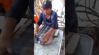 T&eacute;cnica para hacer #tortillas en #barbacoa #elpica #netflix #texcoco #viralshorts