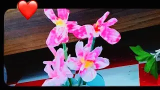 HOW TO MAKE TISSUE PAPER FLOWERS || Beautiful diy tissue flower||