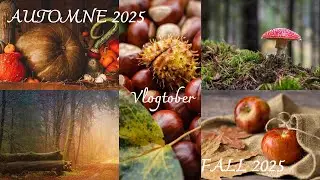 VLOGTOBER &Eacute;P 18 🍁DE RETOUR, D&eacute;co automne🍁