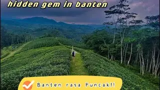 Kebun teh Cikuya [ Hidden Gem in Banten ]
