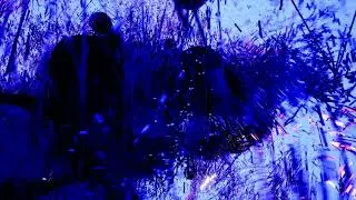 Yann Tiersen - 11 5 18 12 1 14&nbsp;14 (Official Audio)
