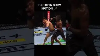 Israel Adesanya obliterating Costa in Slow Motion #israeladesanya #ufc #slowmotion