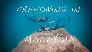 Freediving in Malaysia | A hero5 + A7Rii + DJI Mavics Film