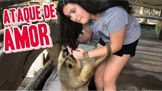 ROTINA DA MANHÃ NO HOTEL DO RIO QUENTE RESORT - Piscina, animais , tatuagem