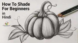 How To Shade For Beginners | Pencil Shading Technique | Pumpkin Drawing |  Art Tutorial in Hindi