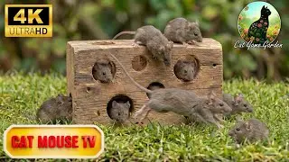 Cat TV Mouse Game 🐭 Best 4K Ultra HD Mouse Video For Cats | Cat Game Garden