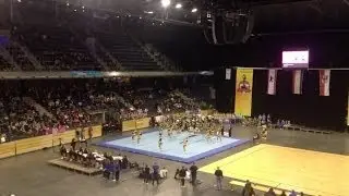 Berlin Adler ACES Cheerleader BBCM 2013