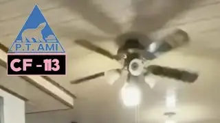 Alaska decorative ceiling fan