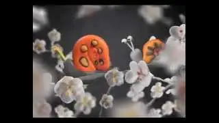 вечера и выходные бесплатно - Prepay - Orange Молдова