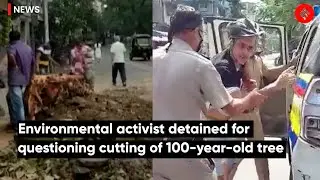 Environmental Activist Detained For Questioning Cutting of 100-Year-Old Tree