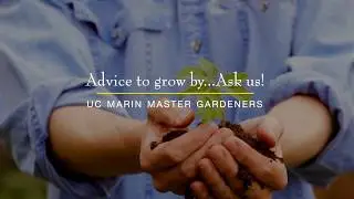 UC Marin Master Gardeners: Advice To Grow By...Ask Us!