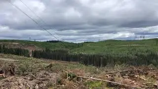 Log Champ 550 Yarding in the BC Interior