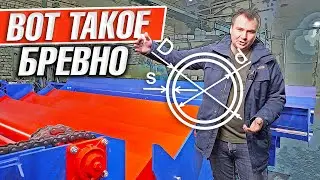 Линия подачи бревен к раскряжевочному станку | Обзор ключевых элементов
