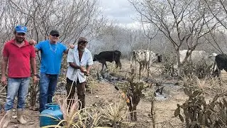HERMANO SE EMOCIONA COM YOUTUBER FAMOSO FALA QUE DE TEM MIL HOMENS SAI UM  QUE NEM O HERMANO