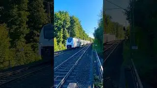 Mireo Smart nach Celle in Gro&szlig;burgwedel @TrainSpodder-34 #bahn #trainspotting #mireo #celle