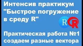 Практическая работа 1 создаем разные вектора
