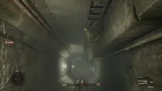 Snake Climbing The Ladder (PS5)
