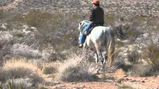 LOS VAQUEROS DEL VALLE  Gosando Con Manuela